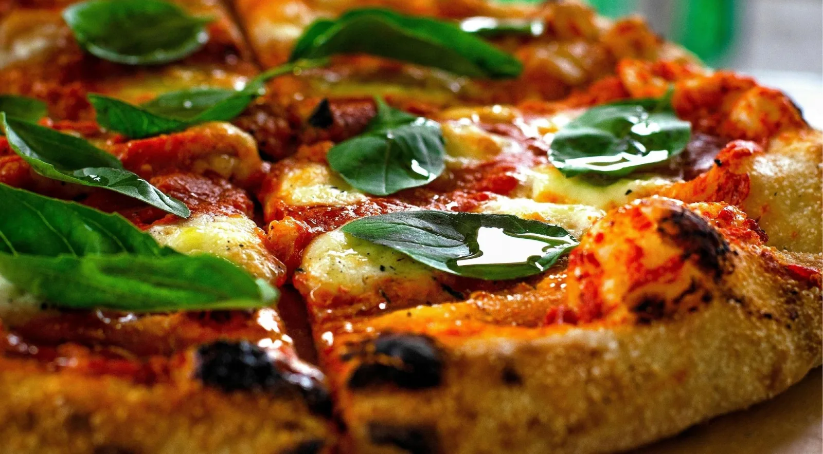 Freshly baked Neapolitan pizza with charred leopard-spot crust, bubbling mozzarella and fresh basil leaves
