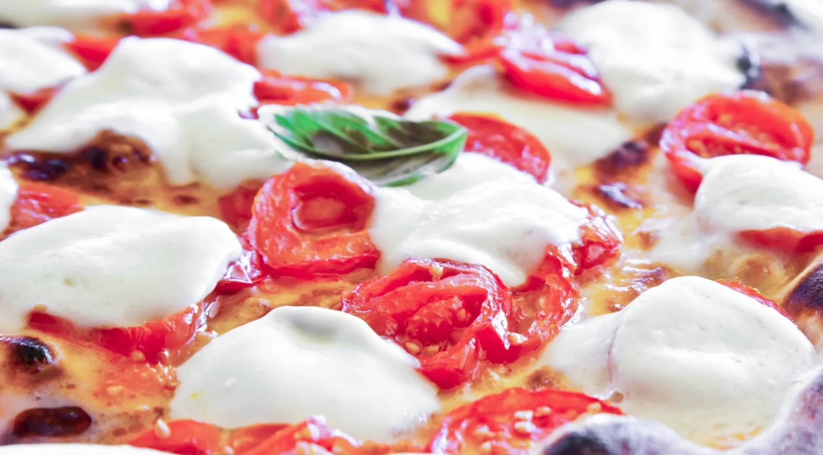 Close-up of a freshly baked Neapolitan pizza topped with buffalo mozzarella, roasted cherry tomatoes and a fresh basil leaf